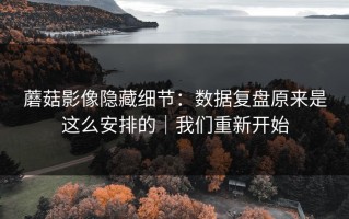 蘑菇影像隐藏细节：数据复盘原来是这么安排的｜我们重新开始