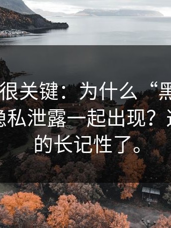 不热门但很关键：为什么“黑料网app”总和隐私泄露一起出现？这次我真的长记性了。