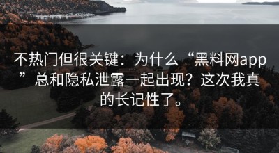 不热门但很关键：为什么“黑料网app”总和隐私泄露一起出现？这次我真的长记性了。