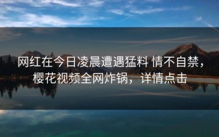 网红在今日凌晨遭遇猛料 情不自禁，樱花视频全网炸锅，详情点击