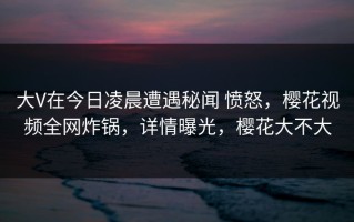大V在今日凌晨遭遇秘闻 愤怒，樱花视频全网炸锅，详情曝光，樱花大不大