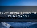 新91黑料里的91爆料看似回归平静，为什么突然没人提了