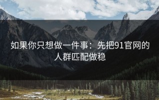 如果你只想做一件事：先把91官网的人群匹配做稳