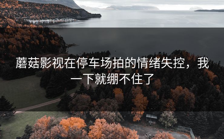 蘑菇影视在停车场拍的情绪失控,我一下就绷不住了-第1张图片-P站视频APP下载与入口 蘑菇影视在停车场拍的情绪失控,我一下就绷不住了-第1张图片-P站视频APP下载与入口