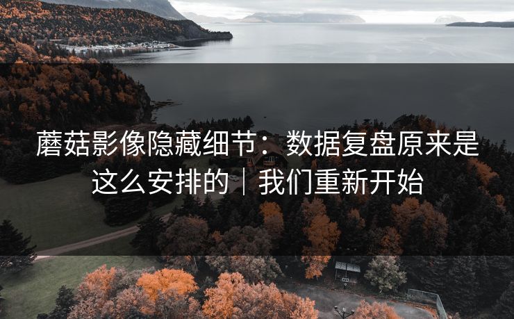 蘑菇影像隐藏细节:数据复盘原来是这么安排的|我们重新开始-第1张图片-P站视频APP下载与入口 蘑菇影像隐藏细节:数据复盘原来是这么安排的|我们重新开始-第1张图片-P站视频APP下载与入口